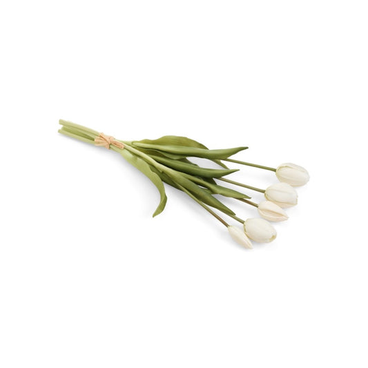 BUNDLE TULIP WHITE 5X16H