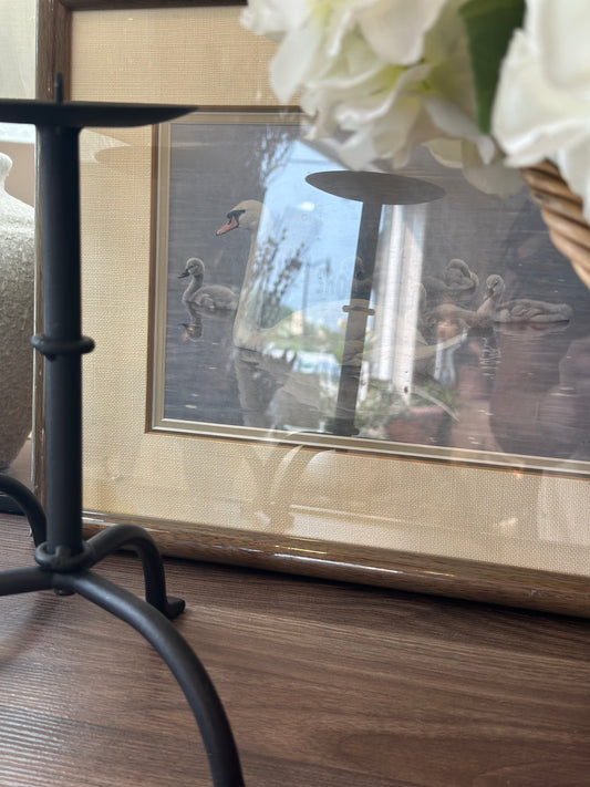 Wood framed bird print
