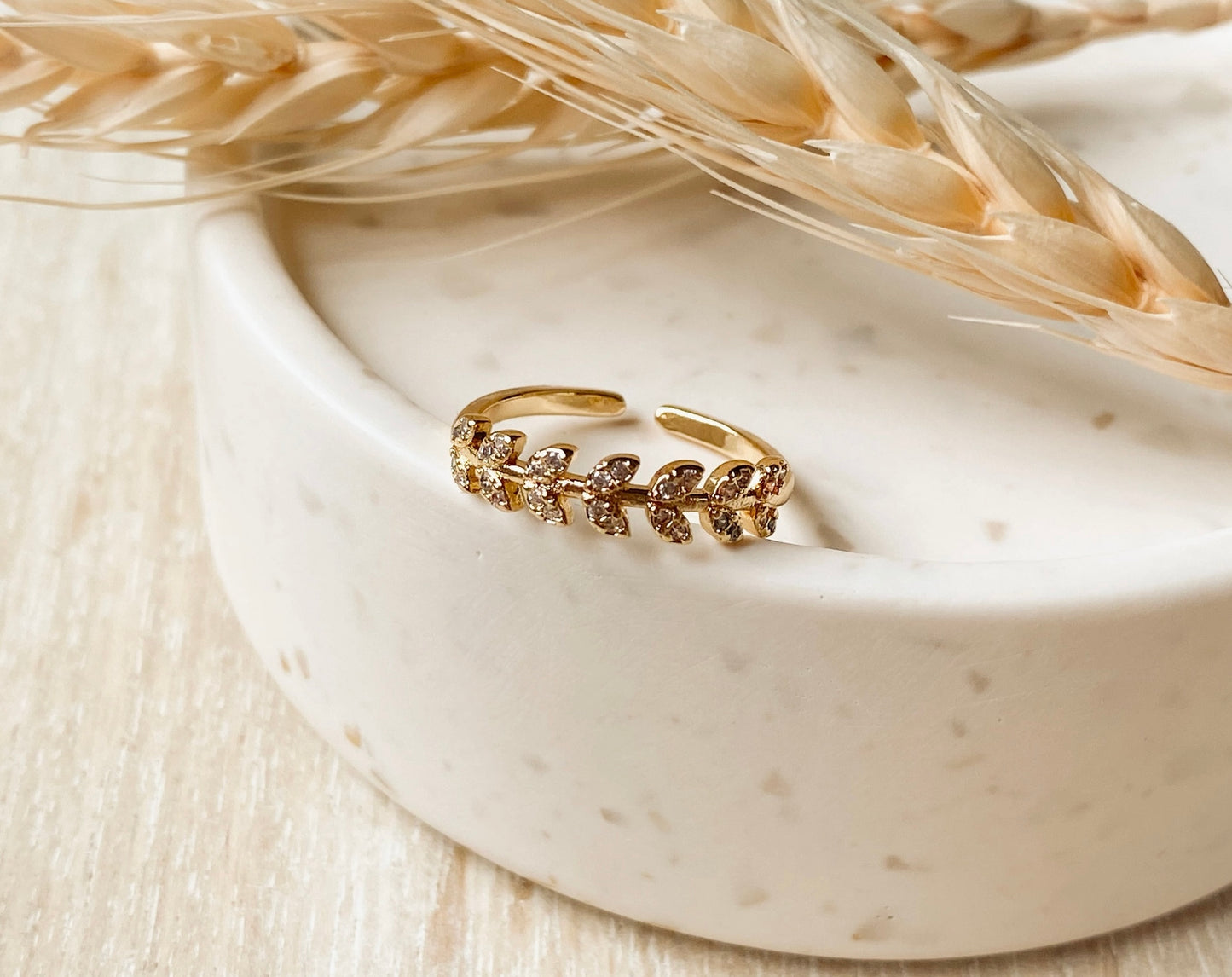 Ceres Ring