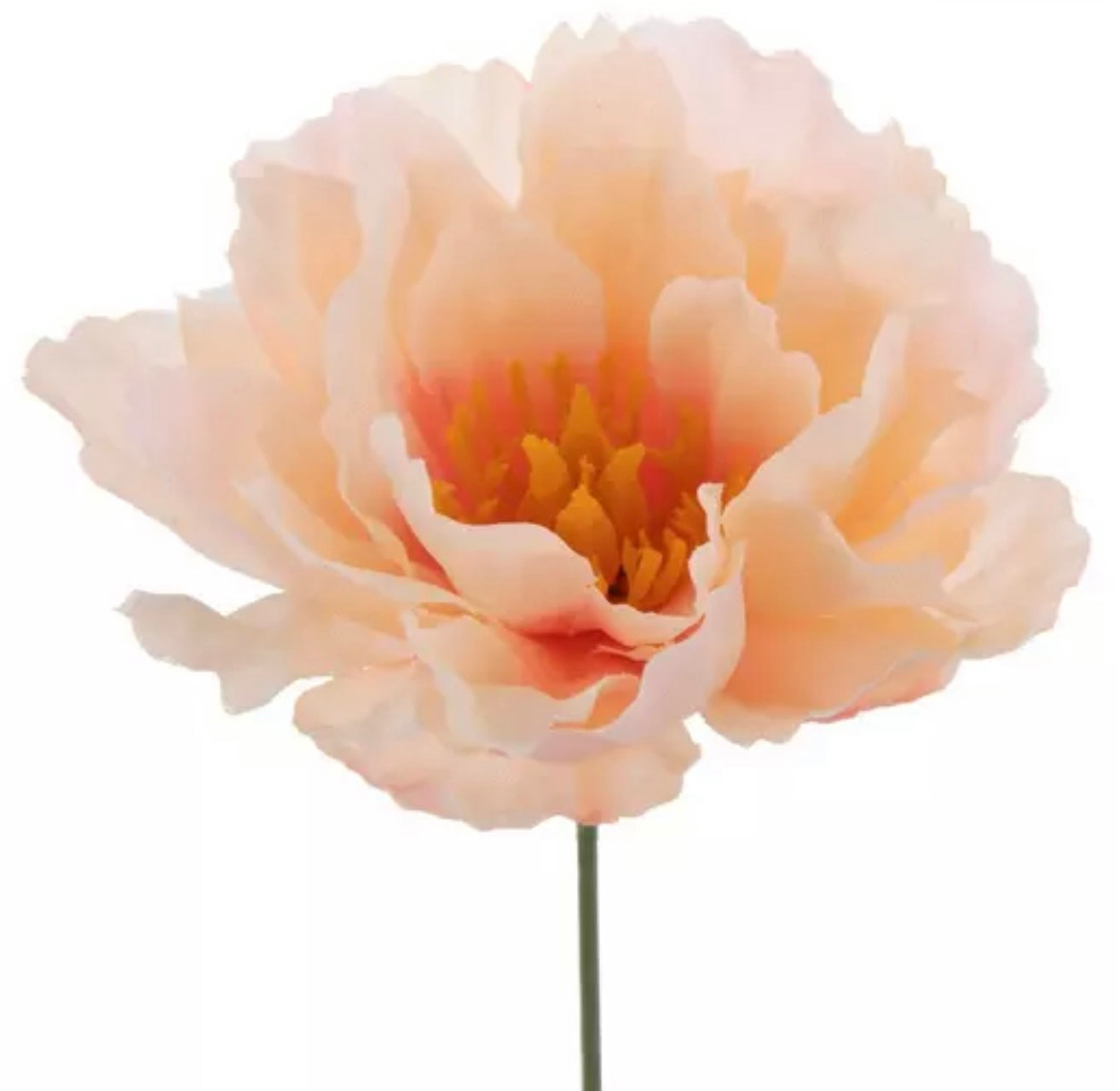 Peach Peony Pick