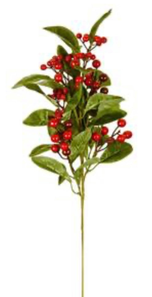 Large Leaf and Berry Stem