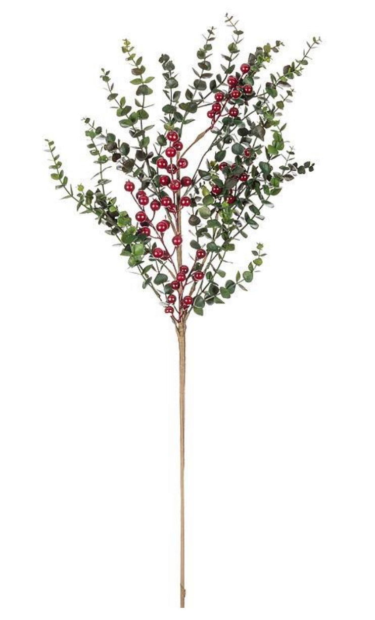 Eucalyptus and Berries Stem