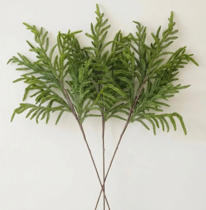 Norfolk Pine Stem-33inch