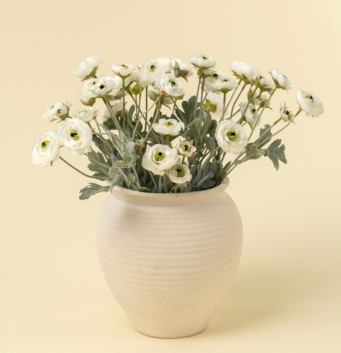 Indaba Ranunculus Spray-White