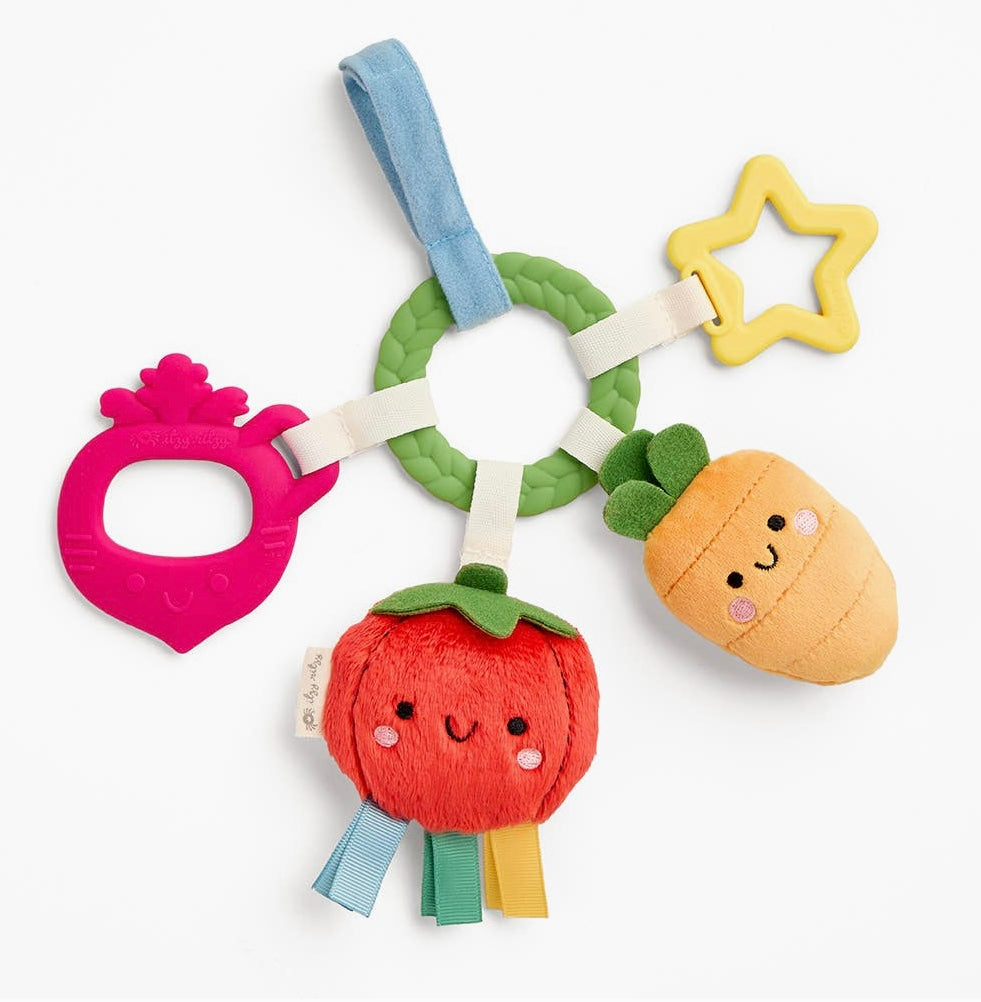 Bitzy Busy Teething Ring Toy