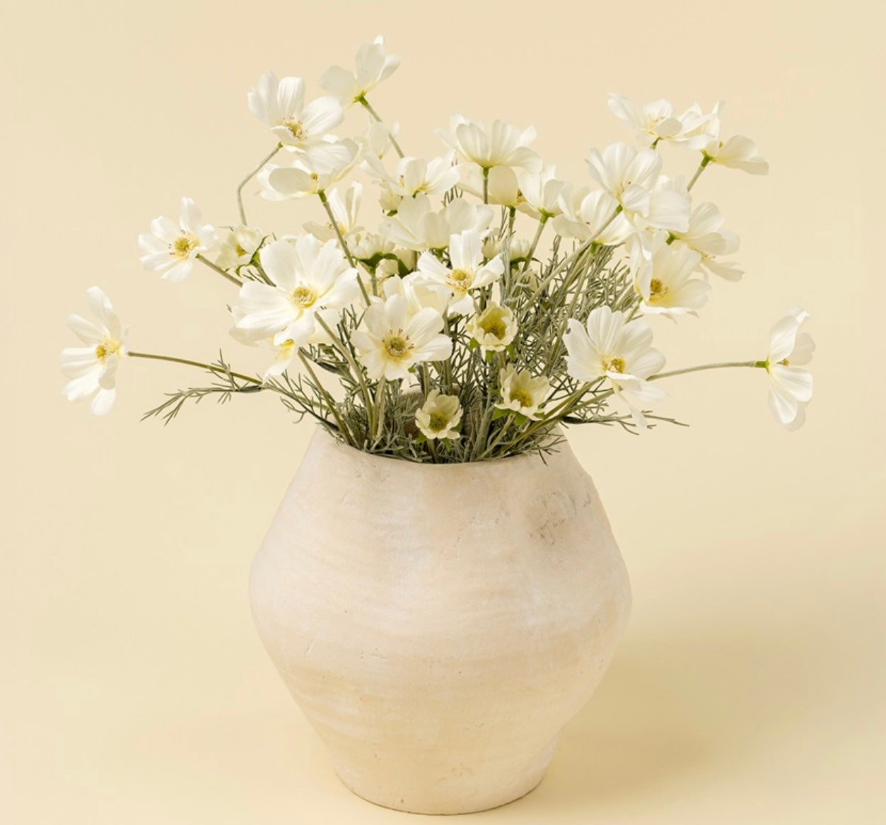 White Cosmos