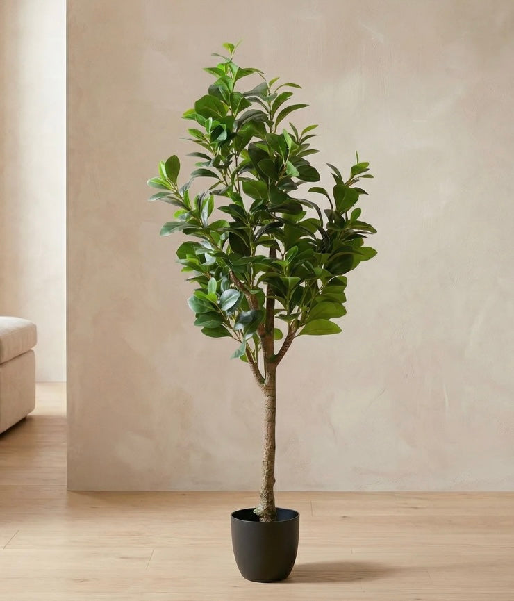 Peperomia Potted Faux Tree