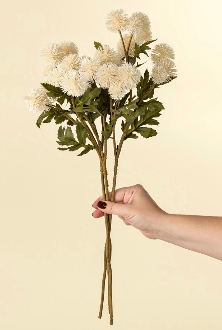 Cream Pom Pom Floral