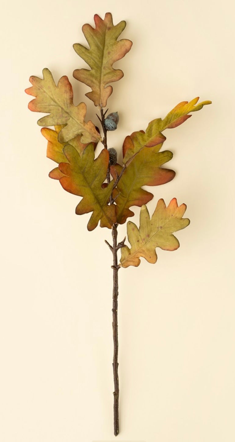 Oak Leaf Stem