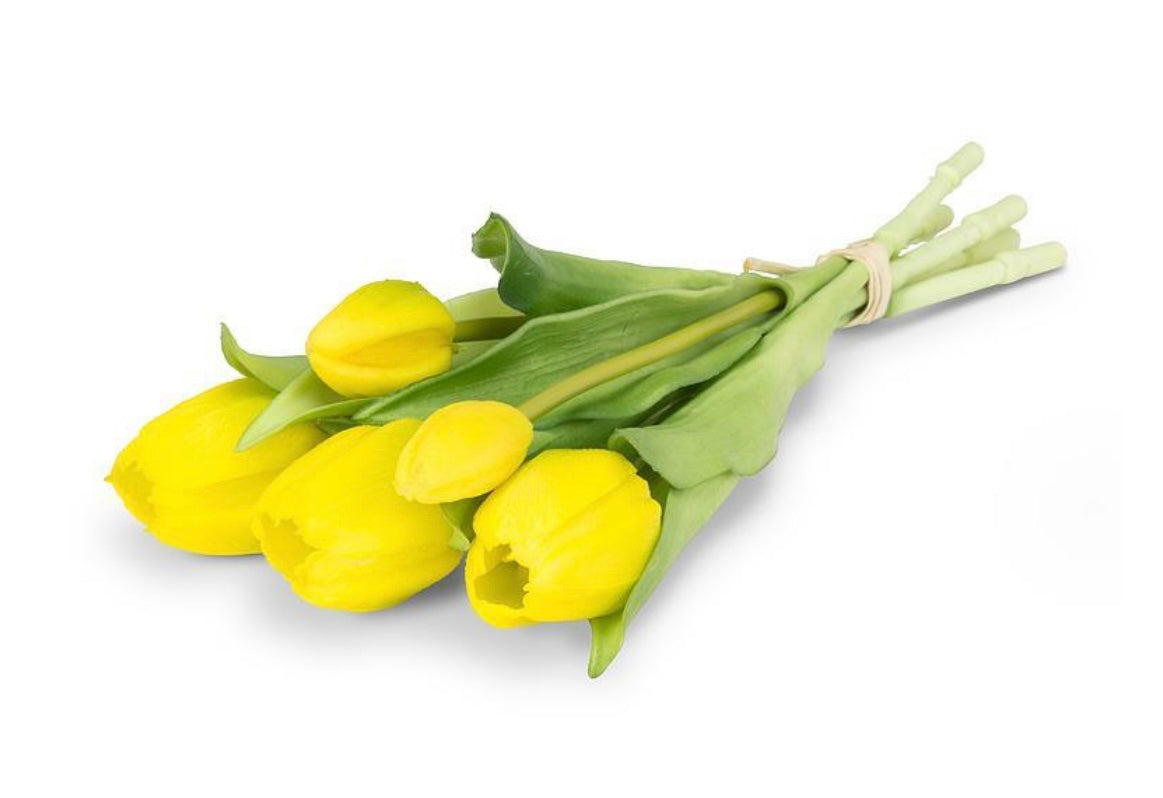 5 Stem Tulip Bunch-Yellow