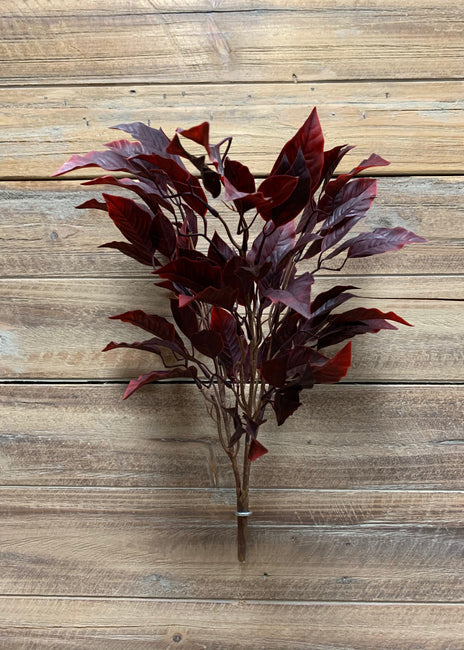 BUR - 17" BURGUNDY FICUS BUSH