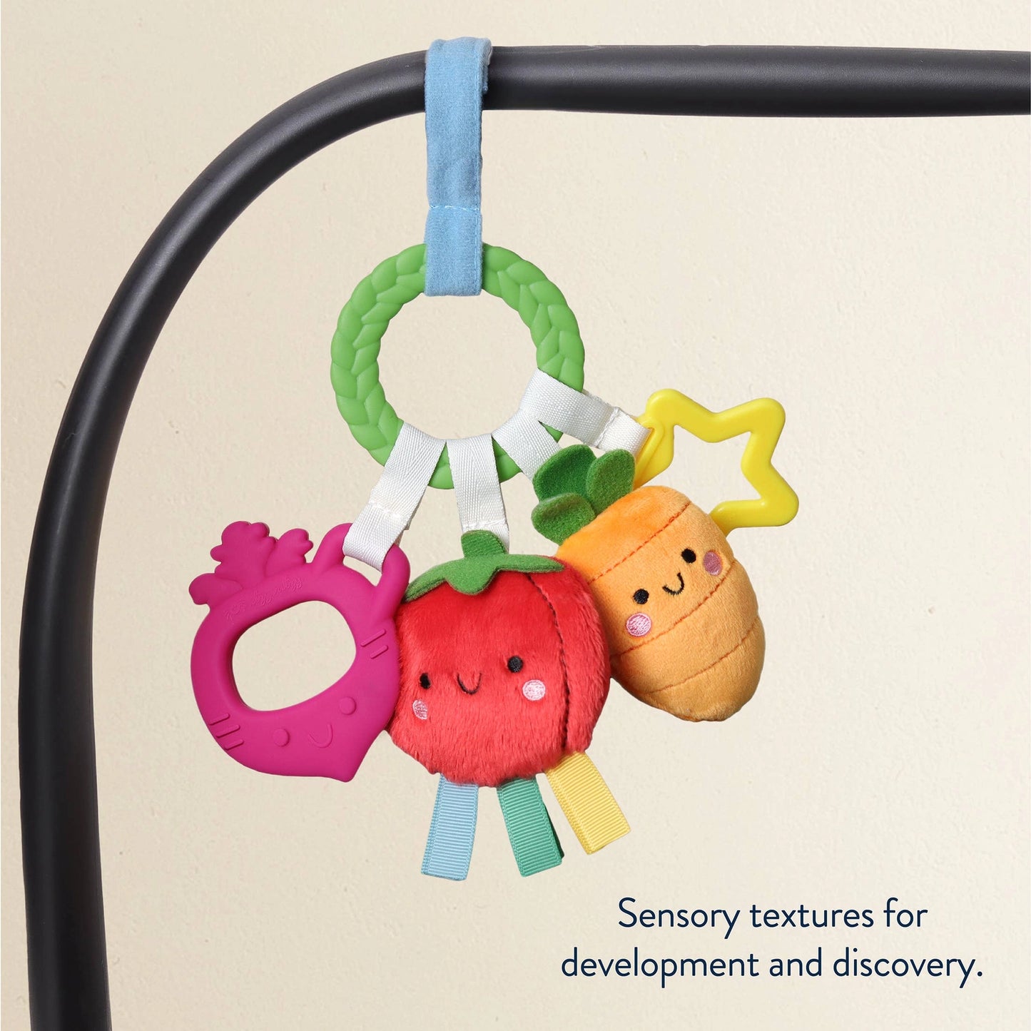 Bitzy Busy Teething Ring Toy