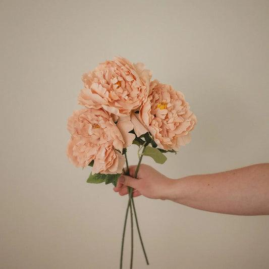 London Peony-Dusty Orange