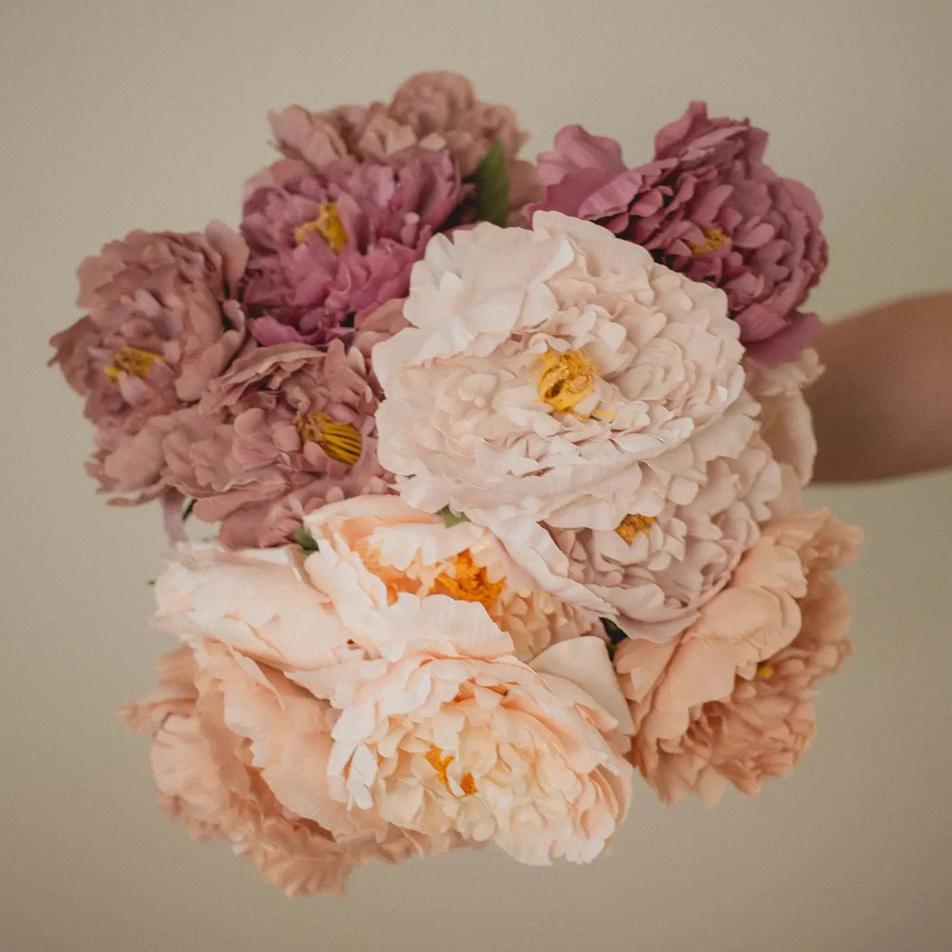 London Peony-Mauve