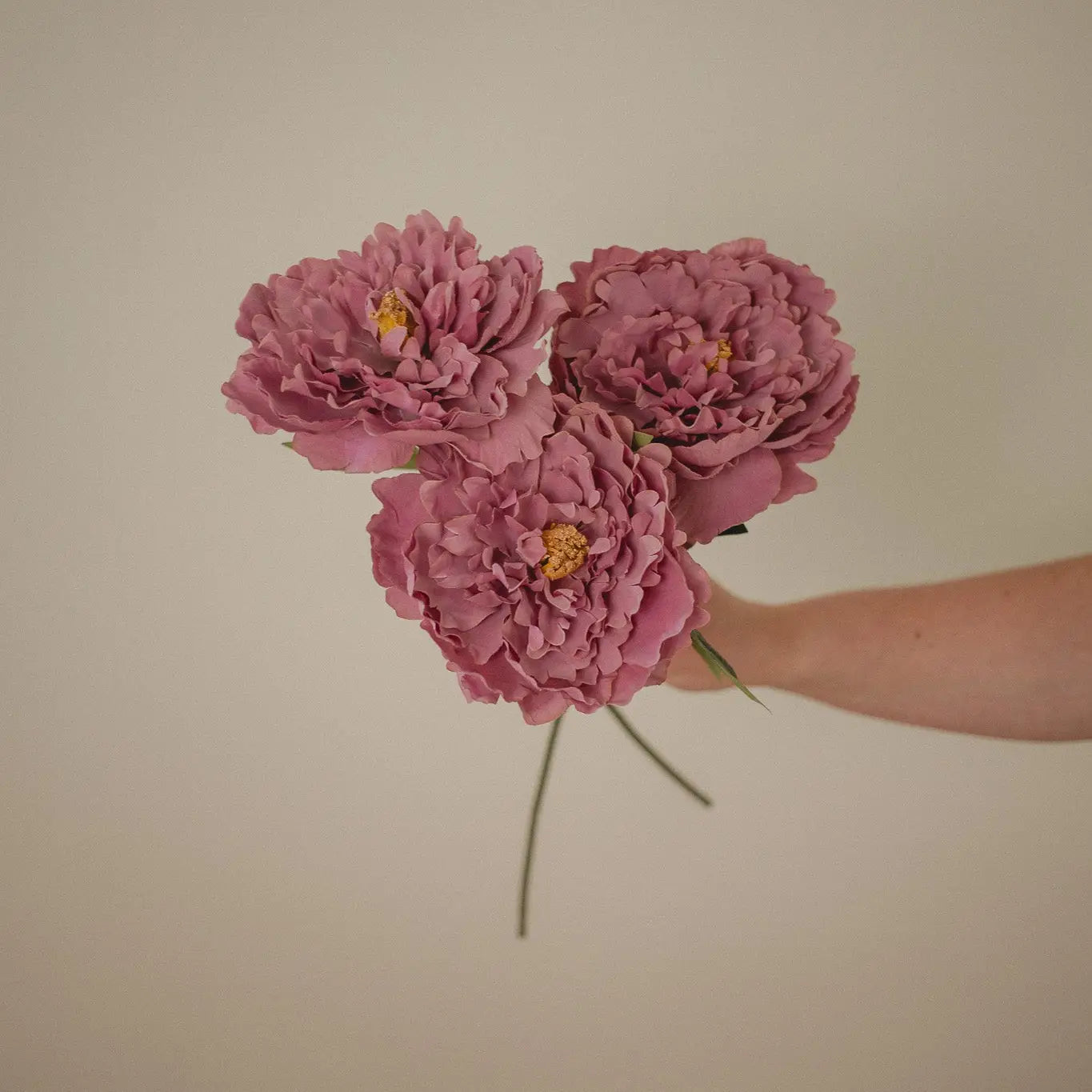 London Peony-Mauve