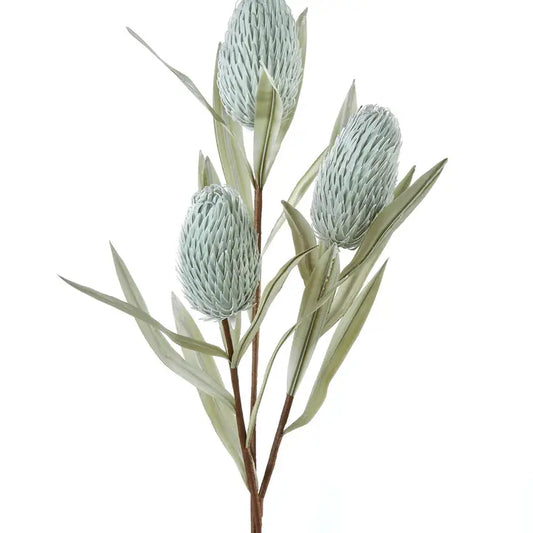 Banksia Floral Stem