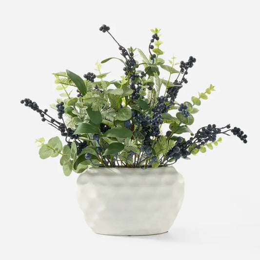 Potted plant with Berries