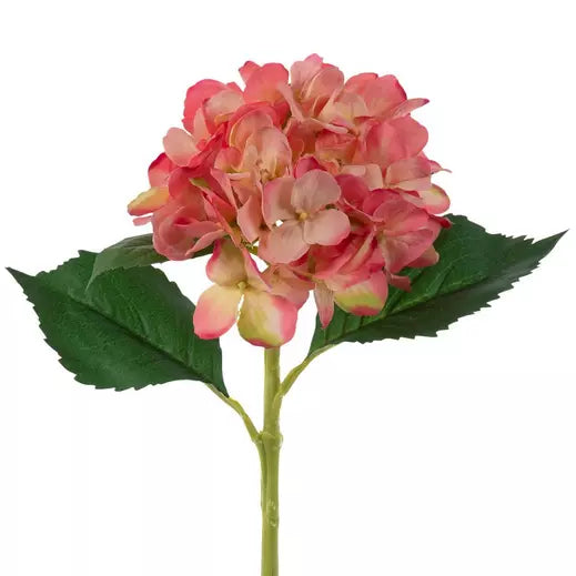 Hydrangea Stem-Pink