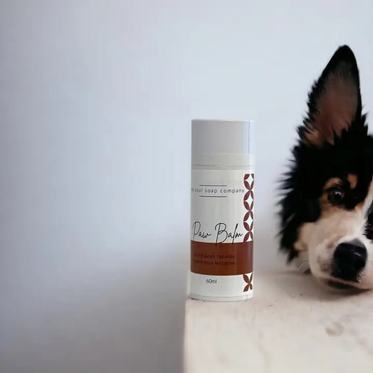Paw Balm