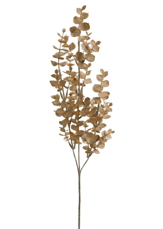 Eucalyptus Spray-Light Brown