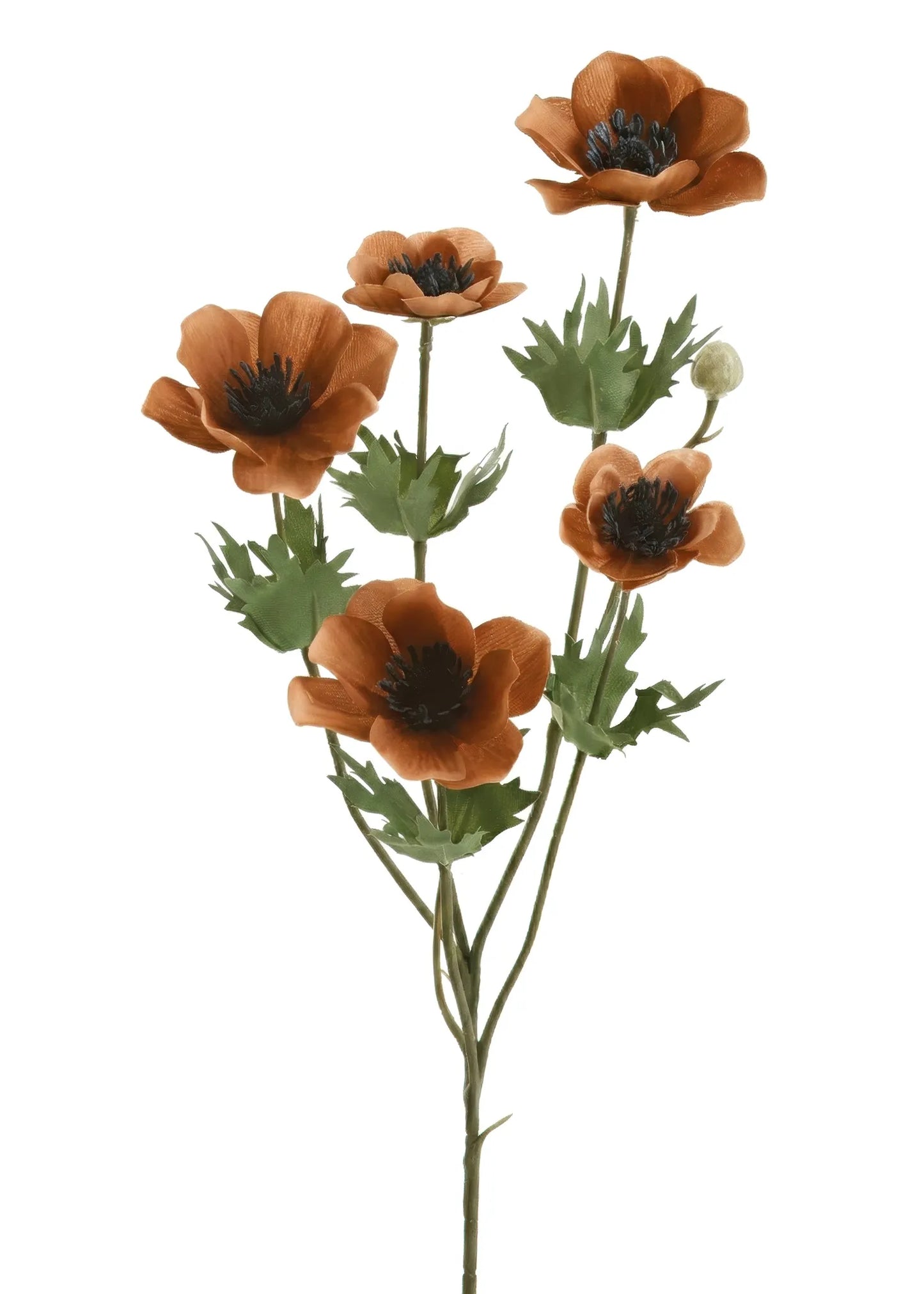 Anemone Stem - Copper