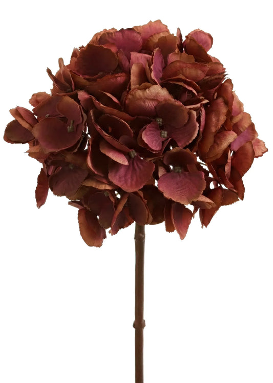Hydrangea Stem-Bordeaux
