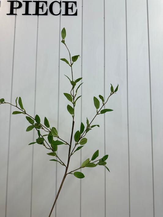 Privet Foliage Spray 39"