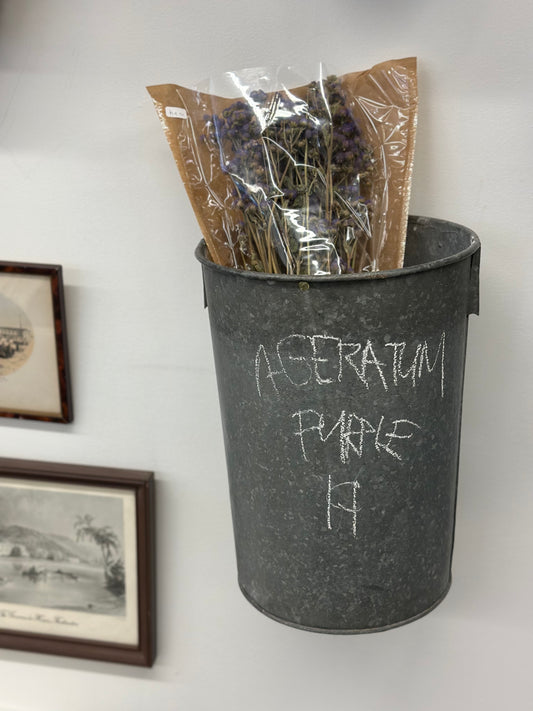 Ageratum Purple (Preserved)