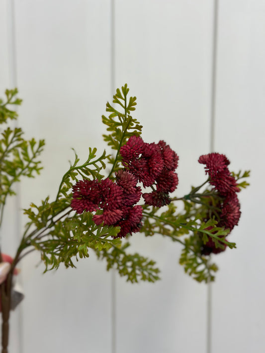 Burgundy Sedum Cluster 16"