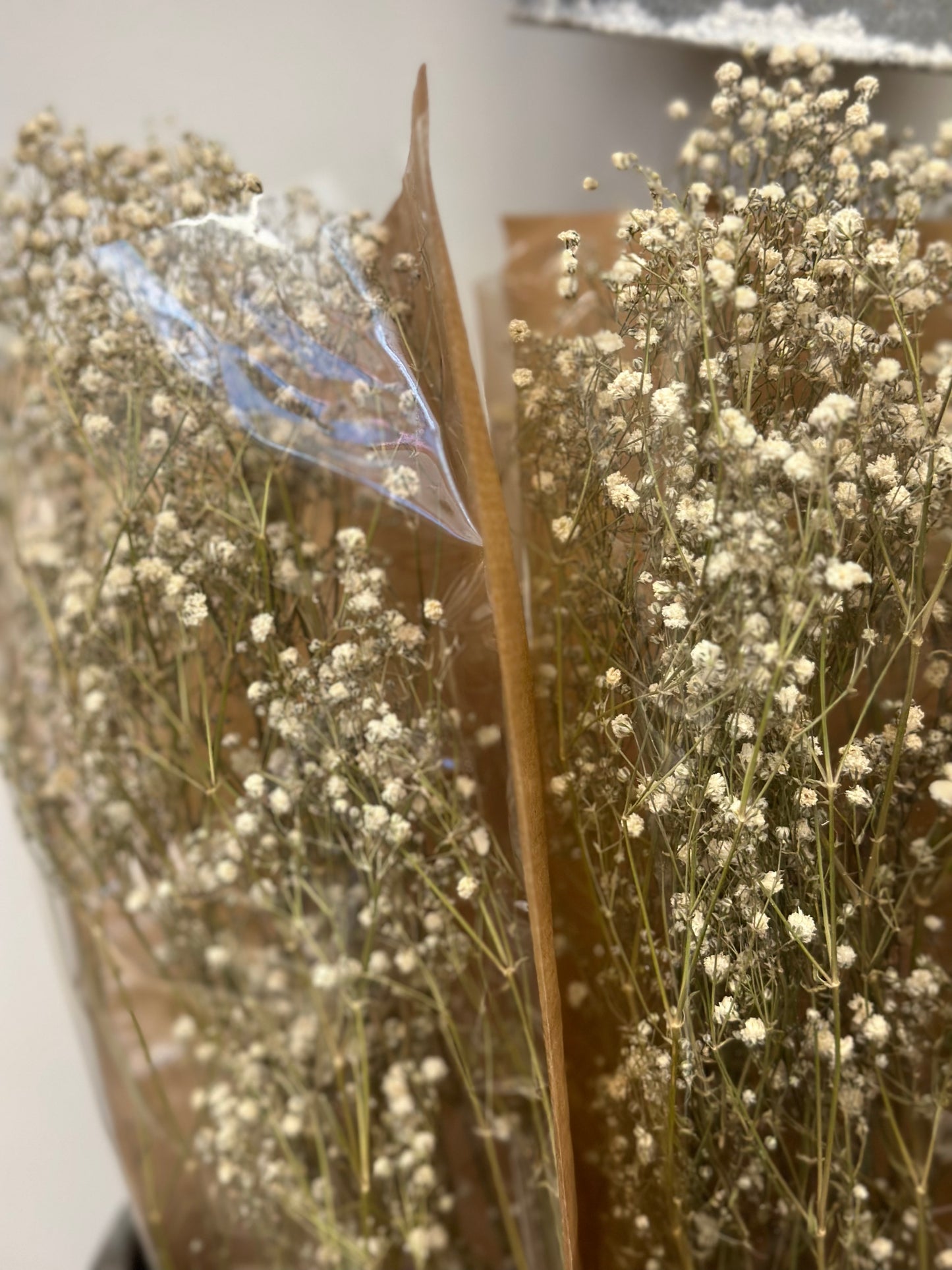 Gypsophilia— Baby’s Breath (Preserved)