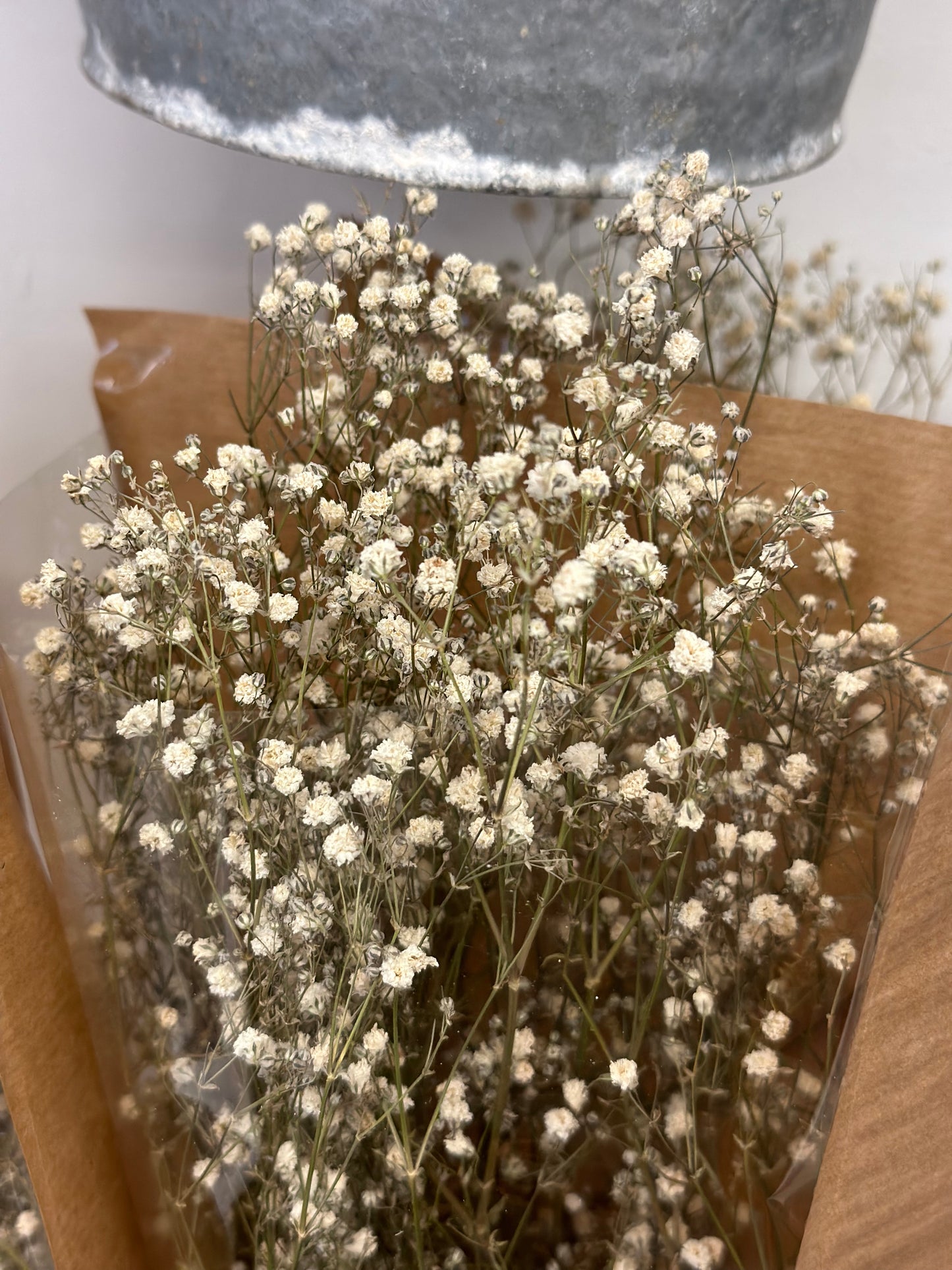 Gypsophilia— Baby’s Breath (Preserved)