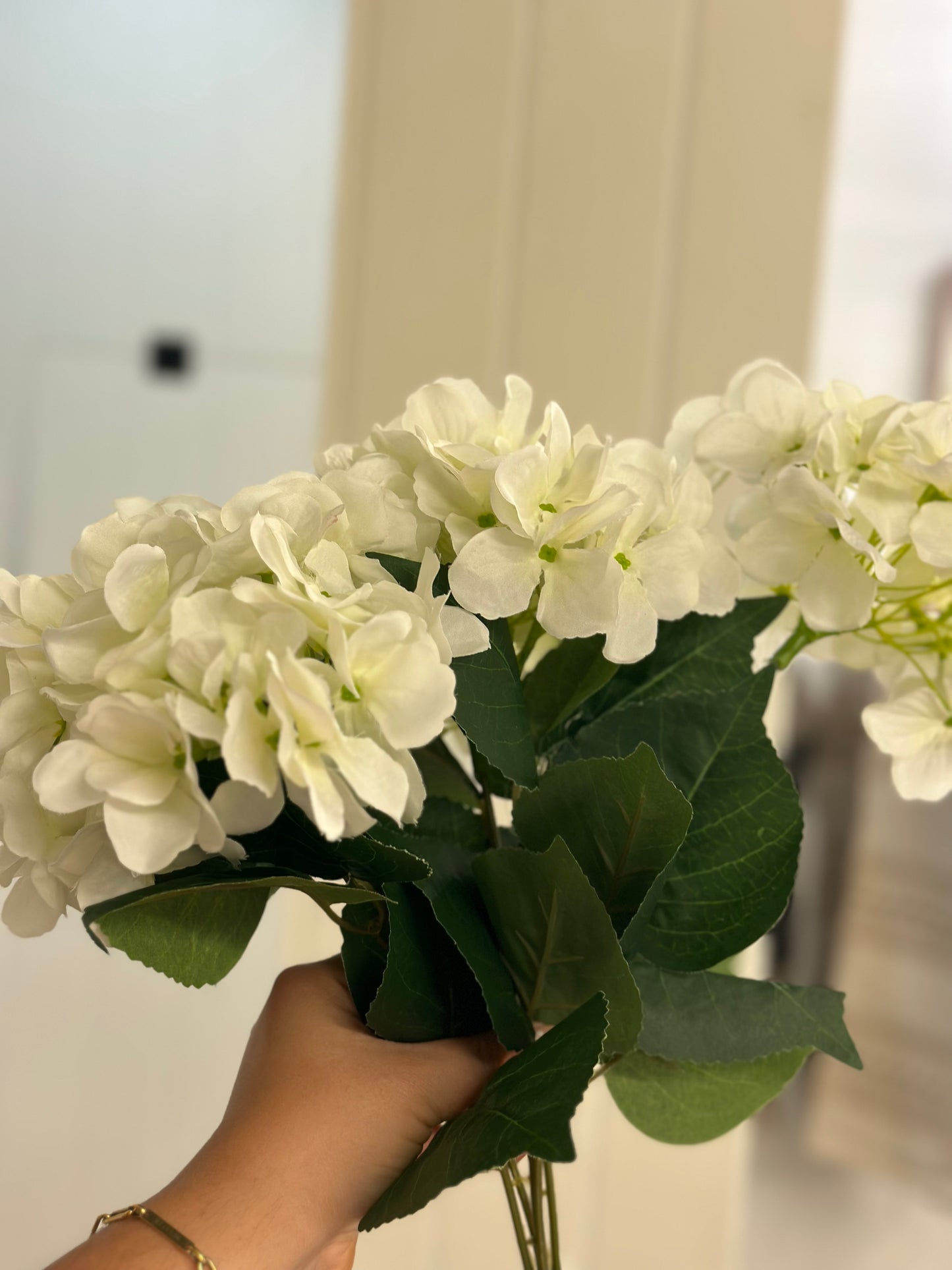 Hydrangea bush 18”