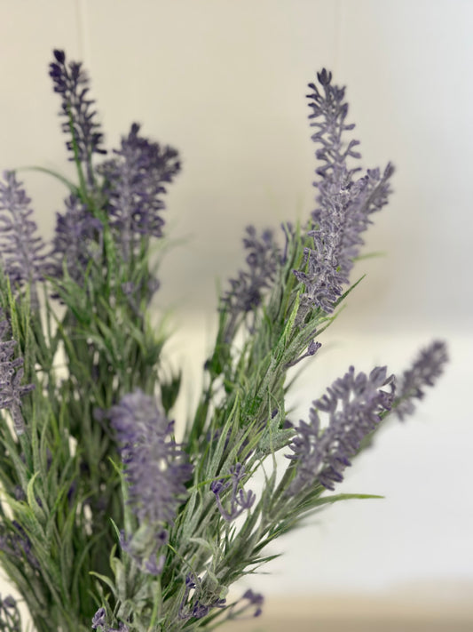 Lavender sprigs