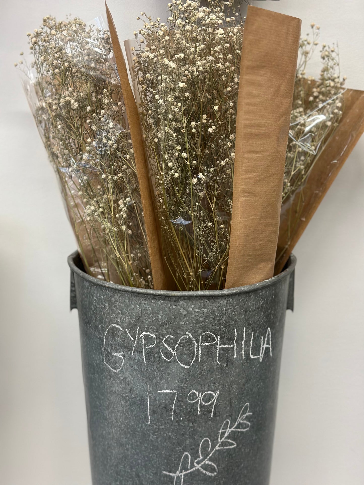 Gypsophilia— Baby’s Breath (Preserved)