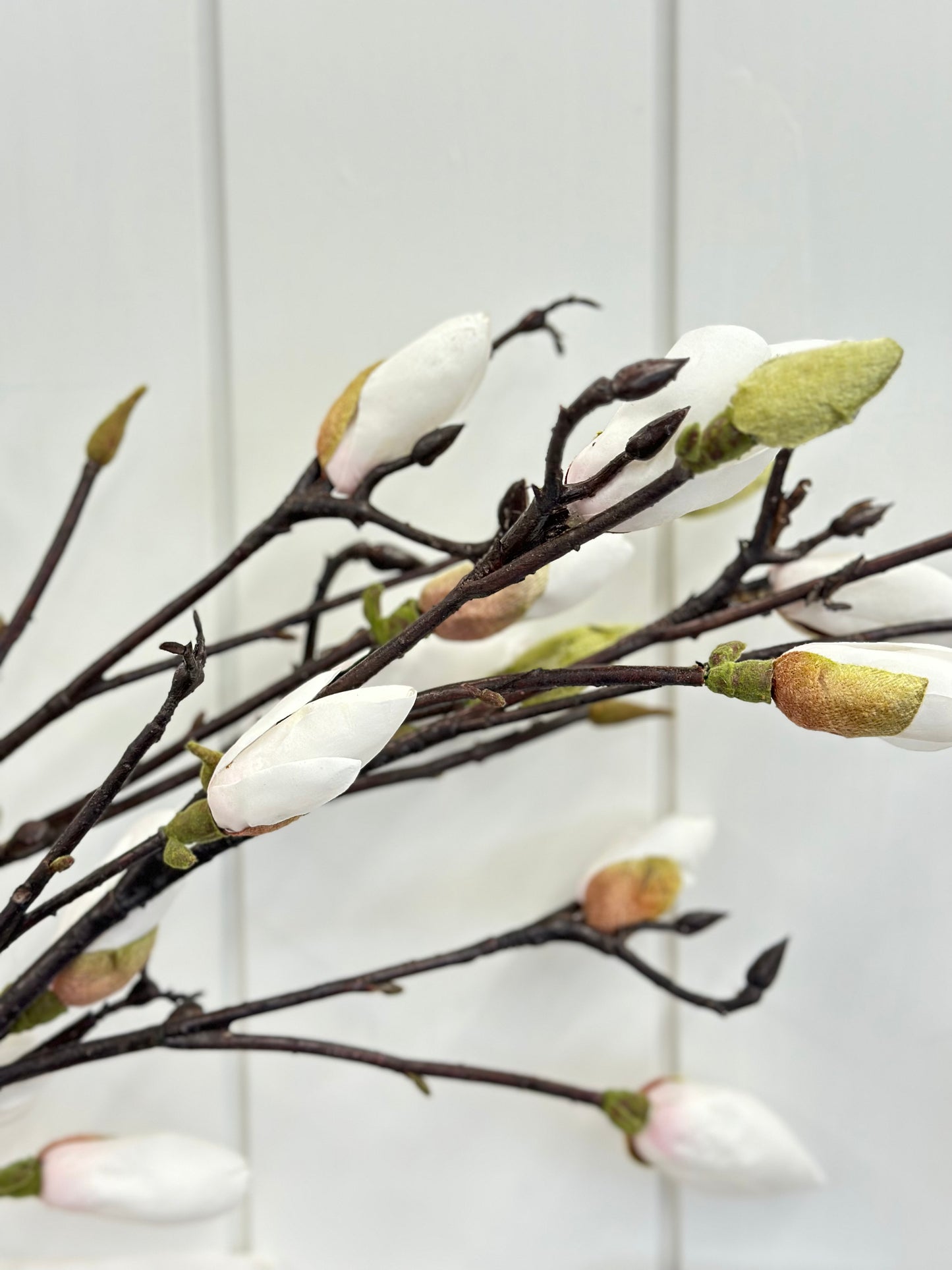 Tree Magnolia Bud Spray 34"