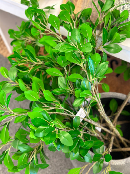 Jasmine Foliage Spray 26"